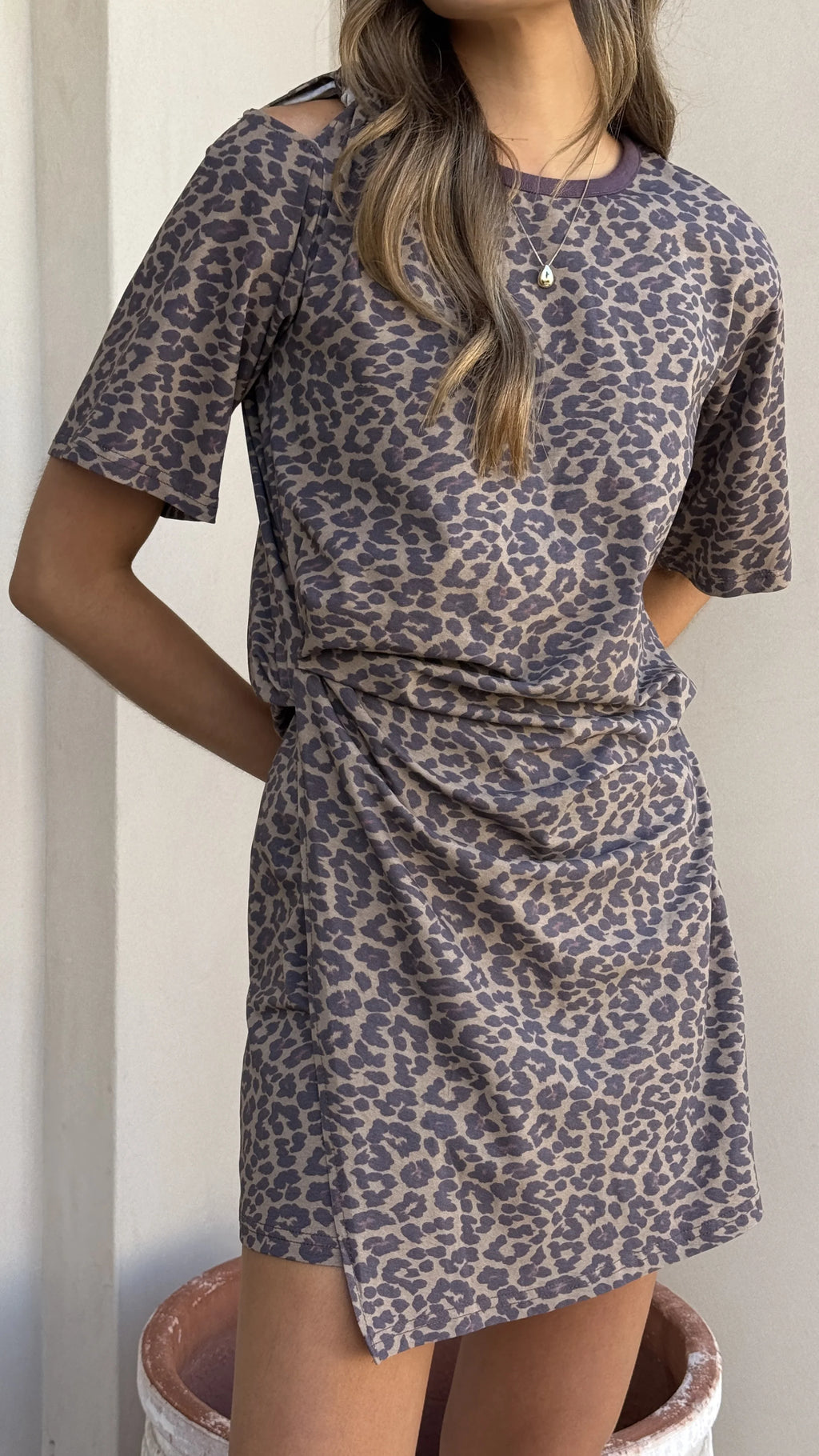 Ravina Mini Dress - Leopard Print